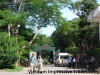 CUC PHUONG FOREST TOUR ONE DAY
