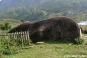 Sapa Ancient Rock Field