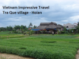 TraQue Vegetable Village