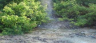 Bang Mineral Hot Spring 