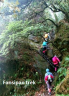 Fansipan Mountain 