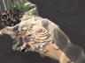 Son Dong, the world's largest cave 